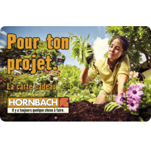 Carte cadeau HORNBACH avec différents motifs au choix (envoi par mail)-thumb-33