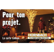 Carte cadeau HORNBACH avec différents motifs au choix (envoi par mail)-thumb-32