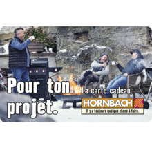 Carte cadeau HORNBACH avec différents motifs au choix (envoi par mail)-thumb-35