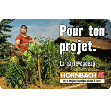 Carte cadeau HORNBACH avec différents motifs au choix (envoi par mail)-thumb-36