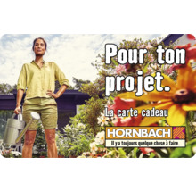 Carte cadeau HORNBACH avec différents motifs au choix (envoi par mail)-thumb-42