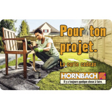 Carte cadeau HORNBACH avec différents motifs au choix (envoi par mail)-thumb-39