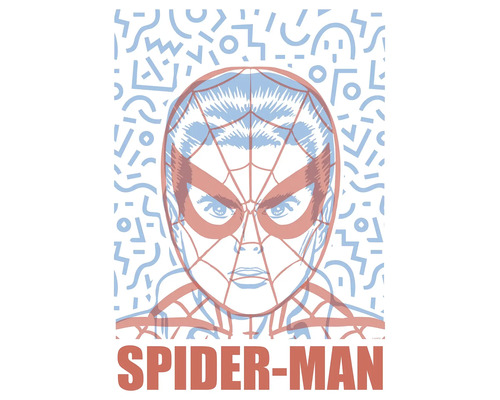Spider-Man Illustration