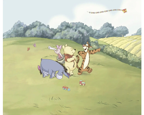 Papier peint panoramique intissé DX6-244 Disney Winnie Pooh Adventure 6 pces 250 x 300 cm Illustration de Winnie l''ourson, Porcinet, Tigrou et Bourriquet dans une prairie avec un cerf-volant dans le ciel.