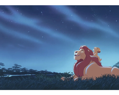 Papier peint panoramique intissé DX7-197 Disney Lion King Stargazing 7 pces 250 x 350 cm Illustration représentant un lion couché et un lionceau sous un ciel étoilé