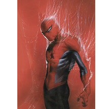 Illustration von Spider-Man in seinem Kostüm, umgeben von Spinnennetzen.