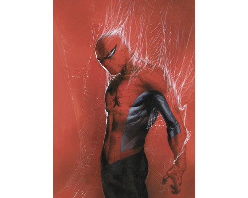 Illustration von Spider-Man in seinem Kostüm, umgeben von Spinnennetzen.