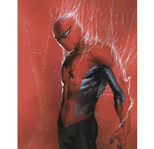 Illustration von Spiderman vor rotem Hintergrund und Spinnennetzen.