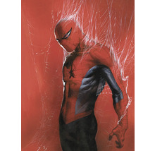 Illustration von Spider-Man, der in einem Spinnennetz gefangen ist