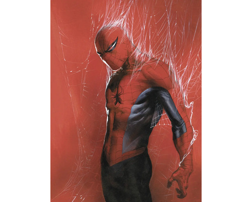 Illustration von Spider-Man, der in einem Spinnennetz gefangen ist