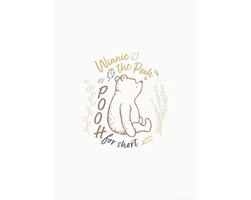 Poster Disney Winnie the Pooh for Short 50x70 cm Illustration von Winnie Puuh mit dem Schriftzug Winnie the Pooh