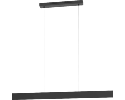 Suspension LED 2x20W 2x2400 lm 3000 K up/down light on/off L 117 cm noir Suspension en métal