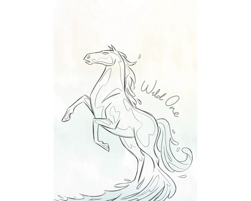 Poster Disney Frozen Blue Lights 50x70 cm Zeichnung eines sich aufbäumenden Pferdes mit der Aufschrift Wild One.