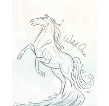 Illustration eines aufgerichteten Pferdes mit dem Schriftzug Wild One