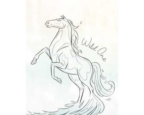 Illustration eines aufgerichteten Pferdes mit dem Schriftzug Wild One