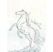 Illustration eines aufbäumenden Pferdes mit der Aufschrift Wild One