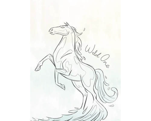 Illustration eines aufbäumenden Pferdes mit der Aufschrift Wild One