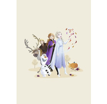 Illustration der Charaktere aus Die Eiskönigin mit Kristoff, Anna, Elsa, Rentier Sven und Schneemann Olaf.