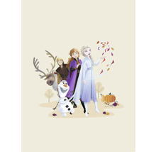 Illustration von Charakteren aus dem Film Die Eiskönigin, darunter Anna, Elsa, Kristoff, Rentier Sven und Schneemann Olaf.