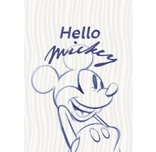 Croquis de Mickey Mouse avec le texte Bonjour Mickey