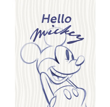 Illustration de Mickey Mouse avec le texte Bonjour Mickey