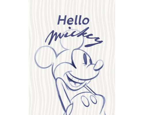 Illustration de Mickey Mouse avec le texte Bonjour Mickey
