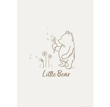 Illustration eines kleinen Bären, der eine Pusteblume hält