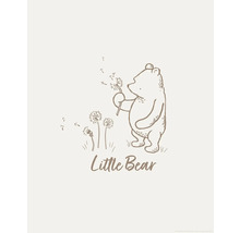 Illustration eines Bären mit Löwenzahn und dem Schriftzug Little Bear