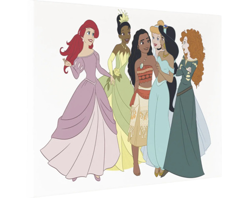 Illustration von sechs Disney Prinzessinnen, darunter Arielle, Tiana, Vaiana, Cinderella, Jasmin und Merida.