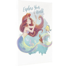 Illustration von Arielle, Fabius und Sebastian mit dem Schriftzug Explore Your World