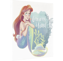 "Illustration von Arielle, die Meerjungfrau, mit dem Schriftzug ""Neugierig & Freundlich"""