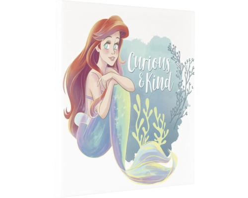 Leinwandbild Disney Ariel Curious & Kind 40x40 cm "Illustration von Arielle, die Meerjungfrau, mit dem Schriftzug ""Neugierig & Freundlich"""