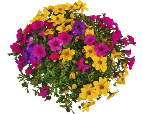 Arrangement floral avec diverses fleurs