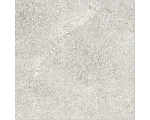 Feinsteinzeug Wand- und Bodenfliese Fantasy 60 cm x 60 cm x 0,95 cm gris matt rektifiziert Fliesenmuster mit Steinoptik