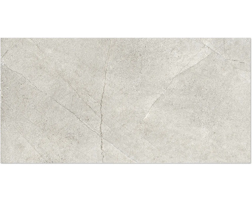 Feinsteinzeug Wand- und Bodenfliese Fantasy 60 cm x 120 cm x 0,9 cm gris matt rektifiziert Graue Keramikfliese mit Marmoroptik.