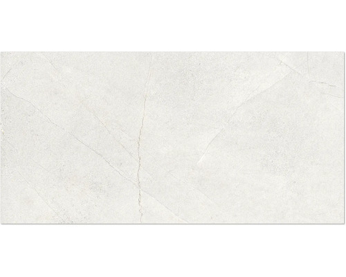 Carrelage sol et mur en grès cérame fin Fantasy 60 cm x 120 cm x 0,9 cm blanco mat rectifié Motif de carreaux aspect marbre
