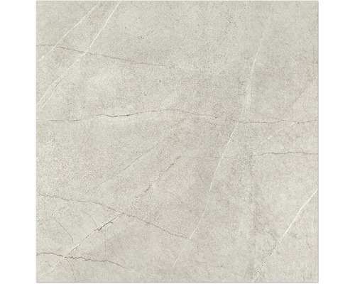 Carreau de céramique aspect marbre pour sol et mur