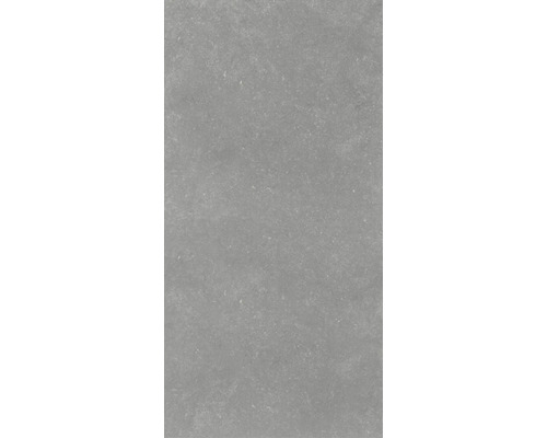 FLAIRSTONE Feinsteinzeug Terrassenplatte Skyfall Grey rektifizierte Kante 120 cm x 60 cm x 20 cm FLAIRSTONE Feinsteinzeug Terrassenplatte Skyfall Grey rektifizierte Kante 120 cm x 60 cm x 20 cm