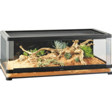 Terrarium mit Pflanzen und Wurzeln