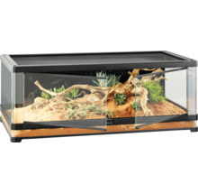 Eingerichtetes Terrarium mit Glasfront und Belüftungsgitter