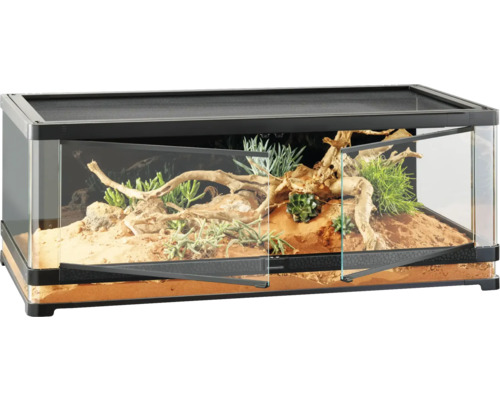Eingerichtetes Terrarium mit Glasfront und Belüftungsgitter