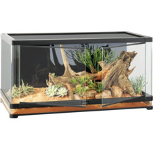 Terrarium mit geöffneten Glastüren, ausgestattet mit Pflanzen und Wurzelholz.