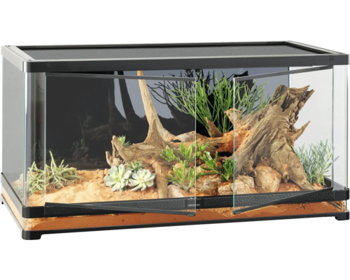 Terrarium mit geöffneten Glastüren, ausgestattet mit Pflanzen und Wurzelholz.