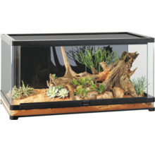 Eingerichtetes Terrarium mit Pflanzen und Holzwurzeln