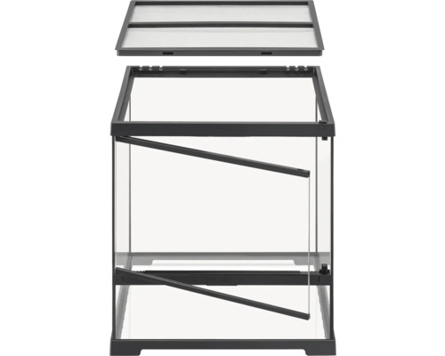 Terrarium en verre avec couvercle grillagé