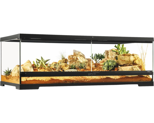 Terrarium avec pierres et plantes