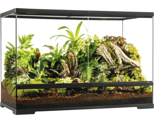 Terrarium avec végétation et substrat pour reptiles et amphibiens