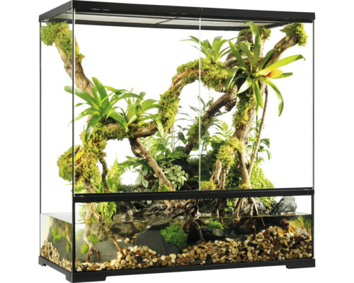Aquarium aménagé avec plantes, pierres et eau pour reptiles et amphibiens