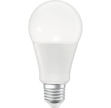 Ampoule LED