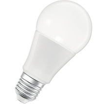 LED-Lampe mit Schraubsockel